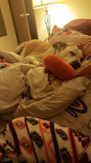 15170860_1363179543706301_5978077271499093714_n