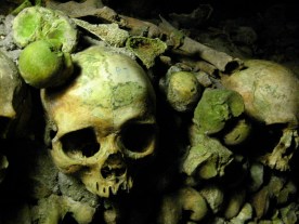 2917334934_236ce58c12_b