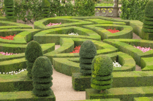 screen-shot-2017-03-01-at-6-45-20-pm